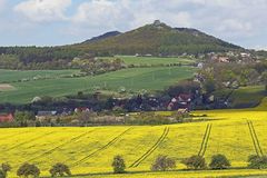 Raps am Vrsetin zu 70% aufgeblüht am 02.05. 15