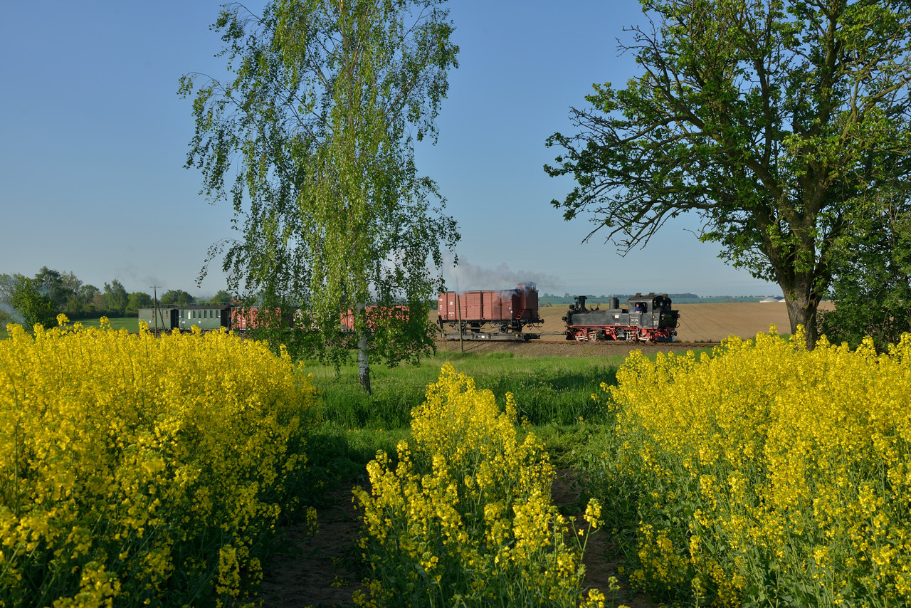 Raps an der Döllnitzbahn