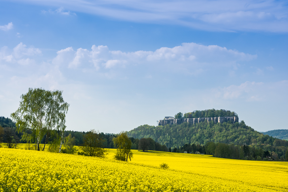 Raps an der Festung