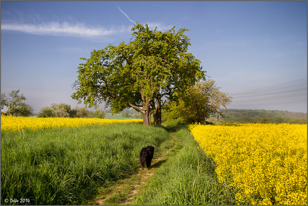 Raps Ausflug