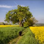 Raps Ausflug