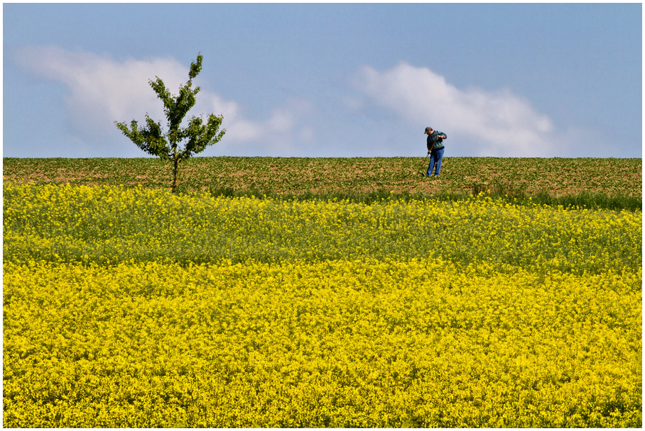 Raps, Baum und Bauer