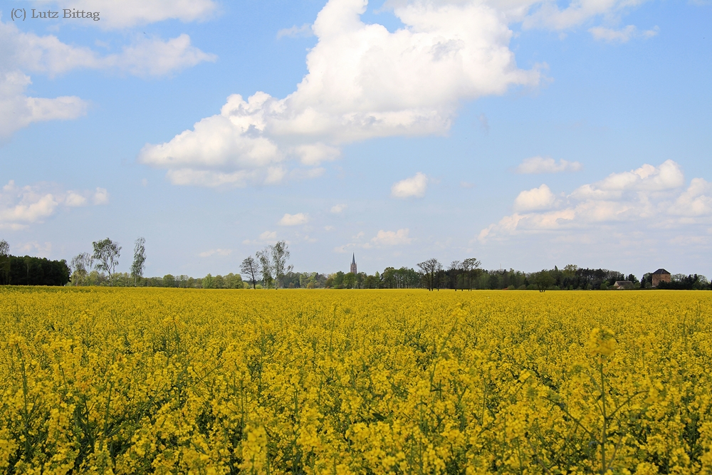 Raps bei Kemberg