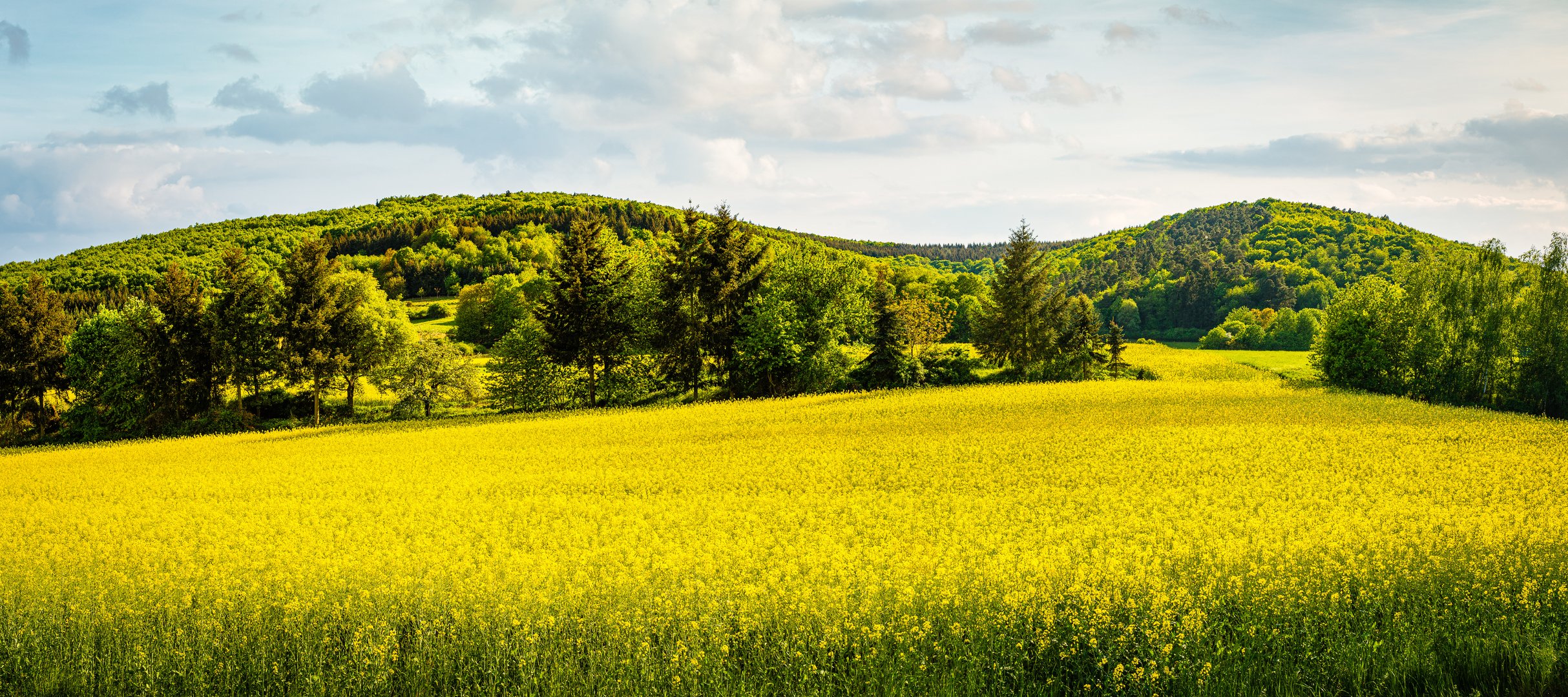 Raps-Berge (3n)