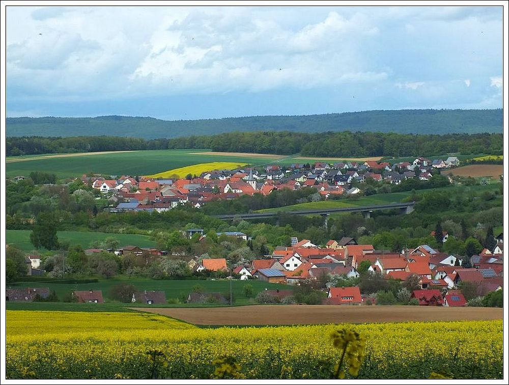 Raps blüht auf Frankens "Ölfelder" (2)