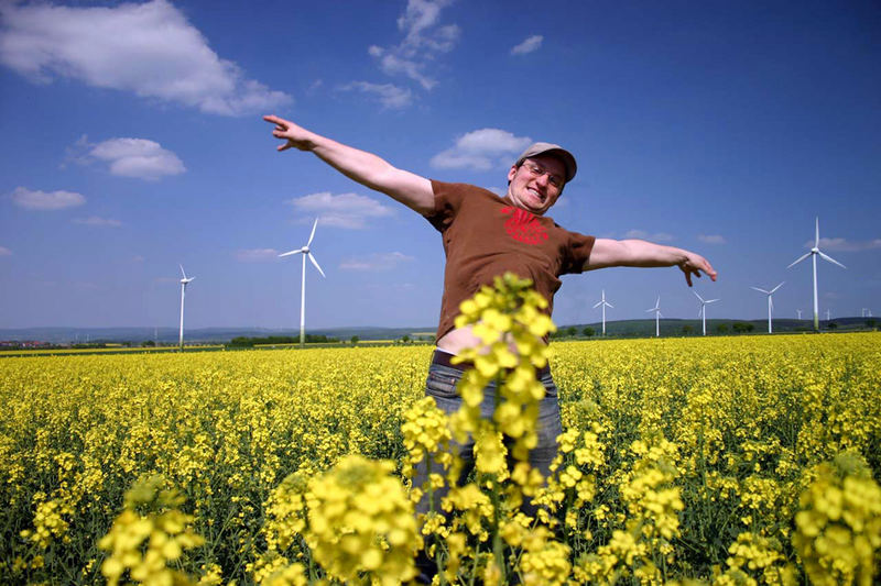 Raps (Brassica napus ssp. oleifera) ist eine wirtschaftlich bedeutende Nutzpflanze...