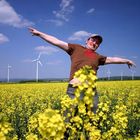 Raps (Brassica napus ssp. oleifera) ist eine wirtschaftlich bedeutende Nutzpflanze...