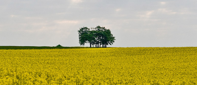 Raps, das war sein letztes Wort