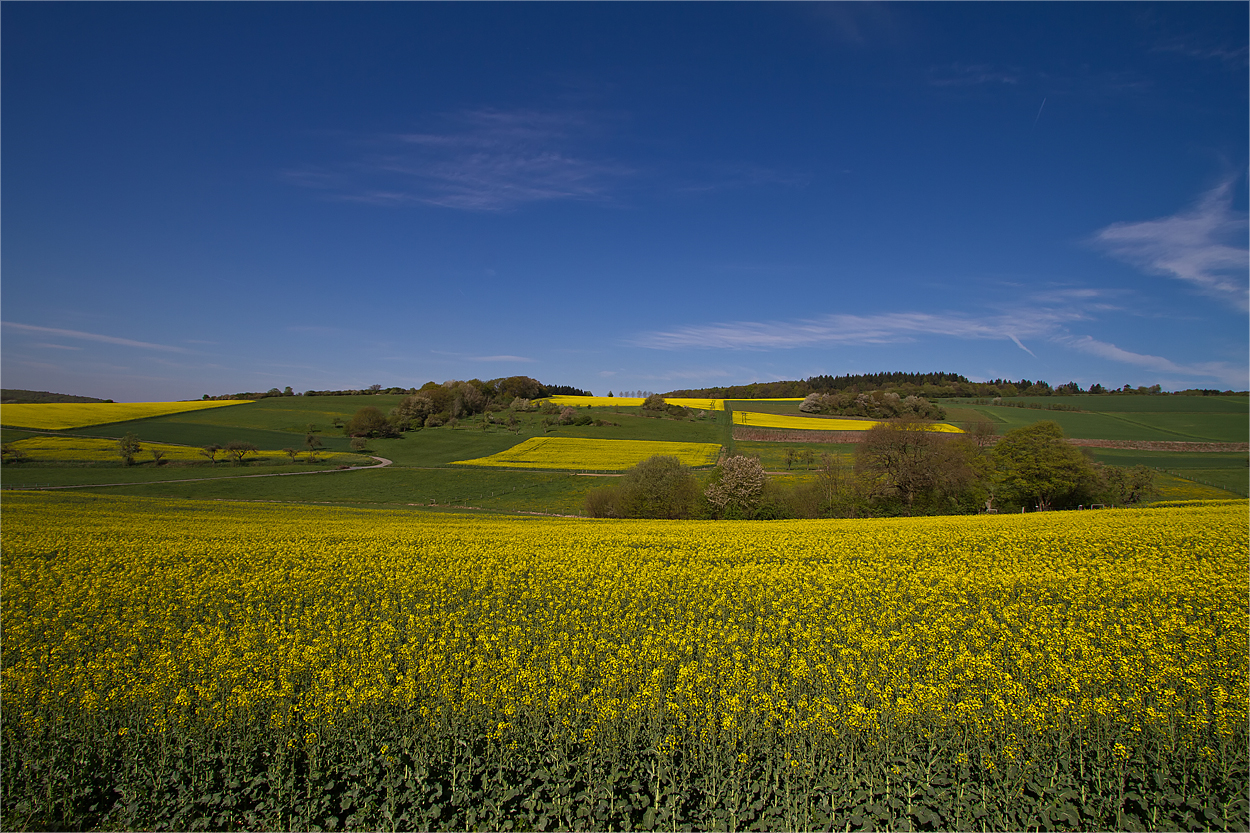 Raps im Hintertaunus