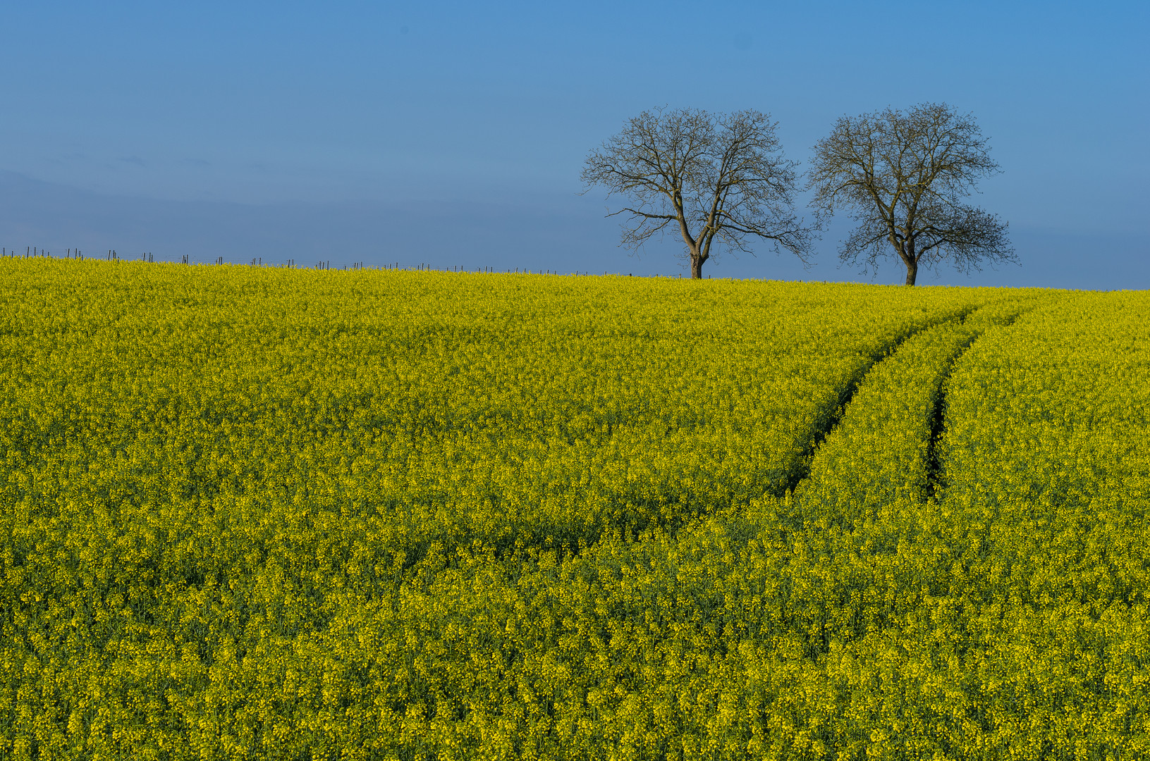  Raps im Kraichgau