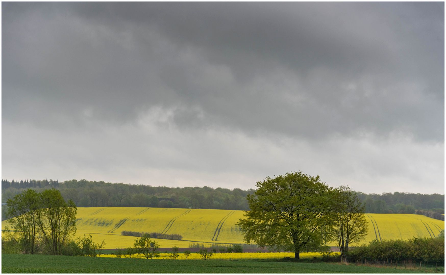 Raps im Regen