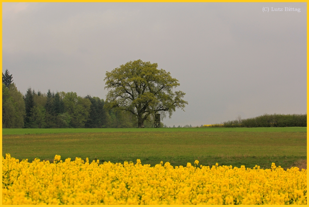 Raps im Regen