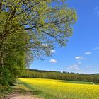 Raps im Siegerland