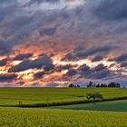 Raps im Sonnenuntergang