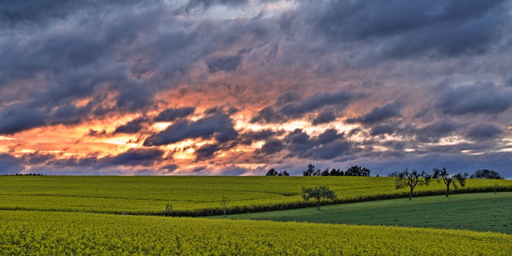 Raps im Sonnenuntergang