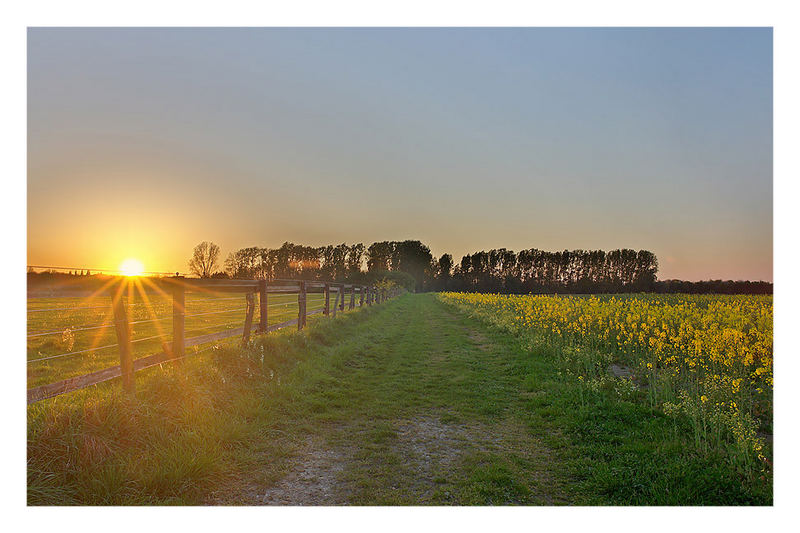 Raps im Sonnenuntergang