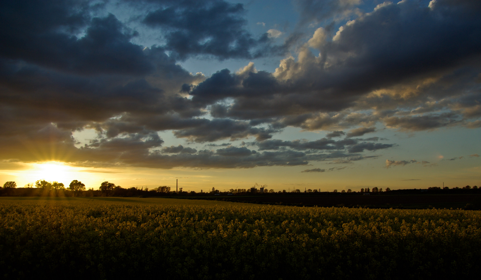 Raps im Sonnenuntergang