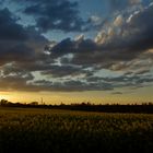 Raps im Sonnenuntergang