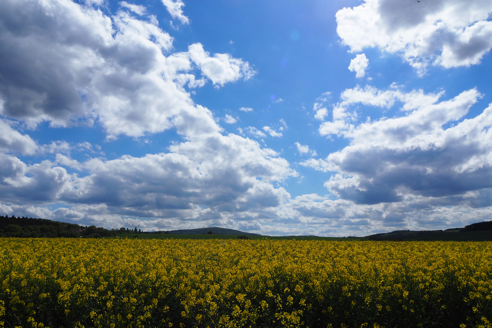 Raps im Taunus