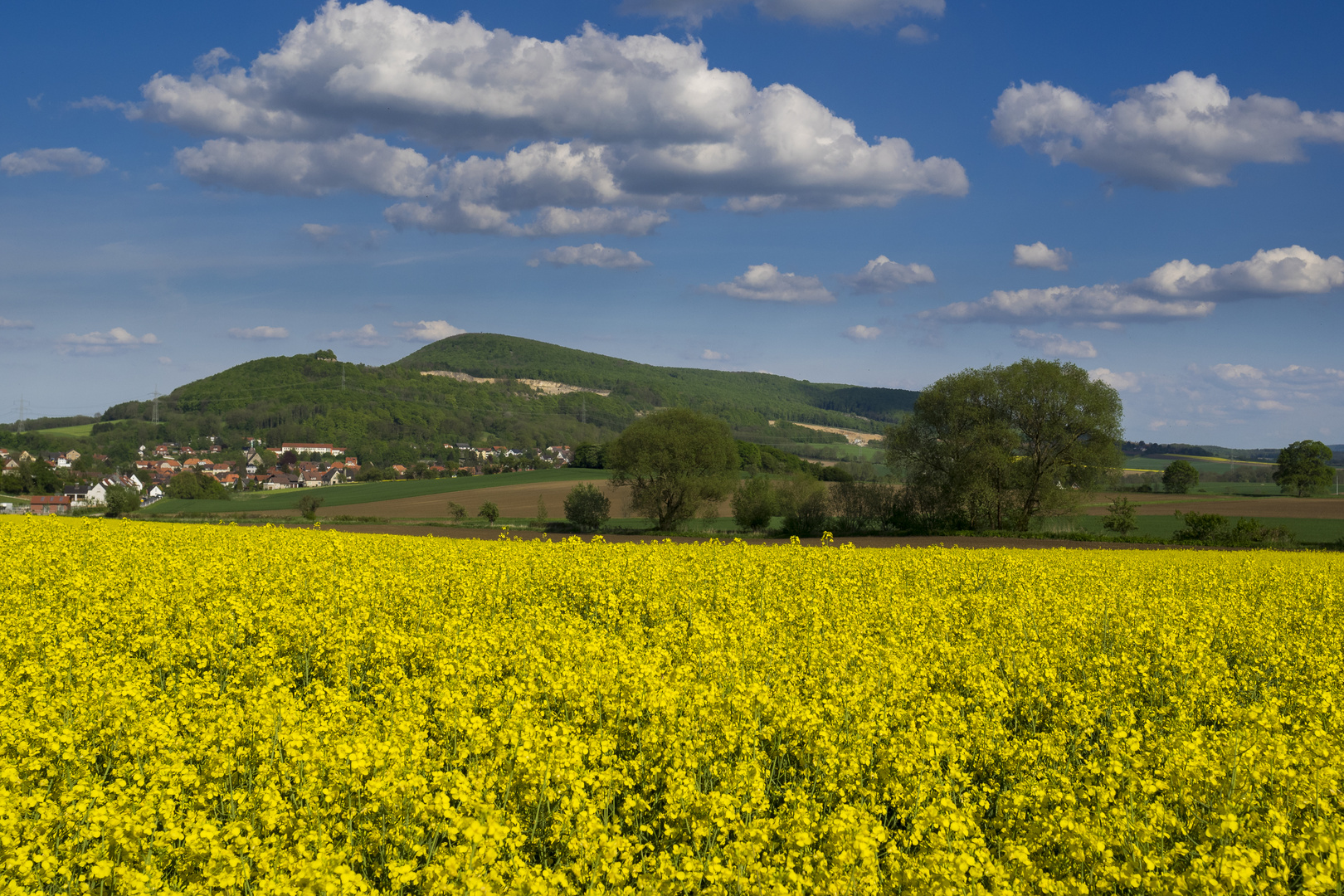 Raps im Vordergrund