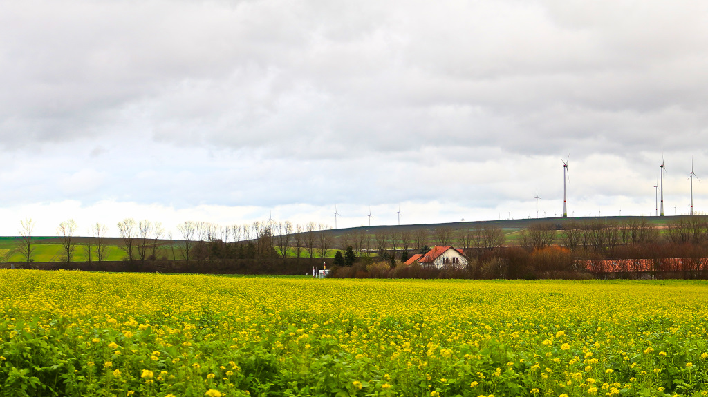 Raps im...Januar ?