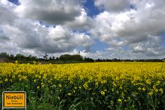 Raps in Niebüll