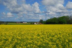 Raps in Schweden