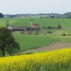 Raps Lamprechten/Neumarkt-St. Veit