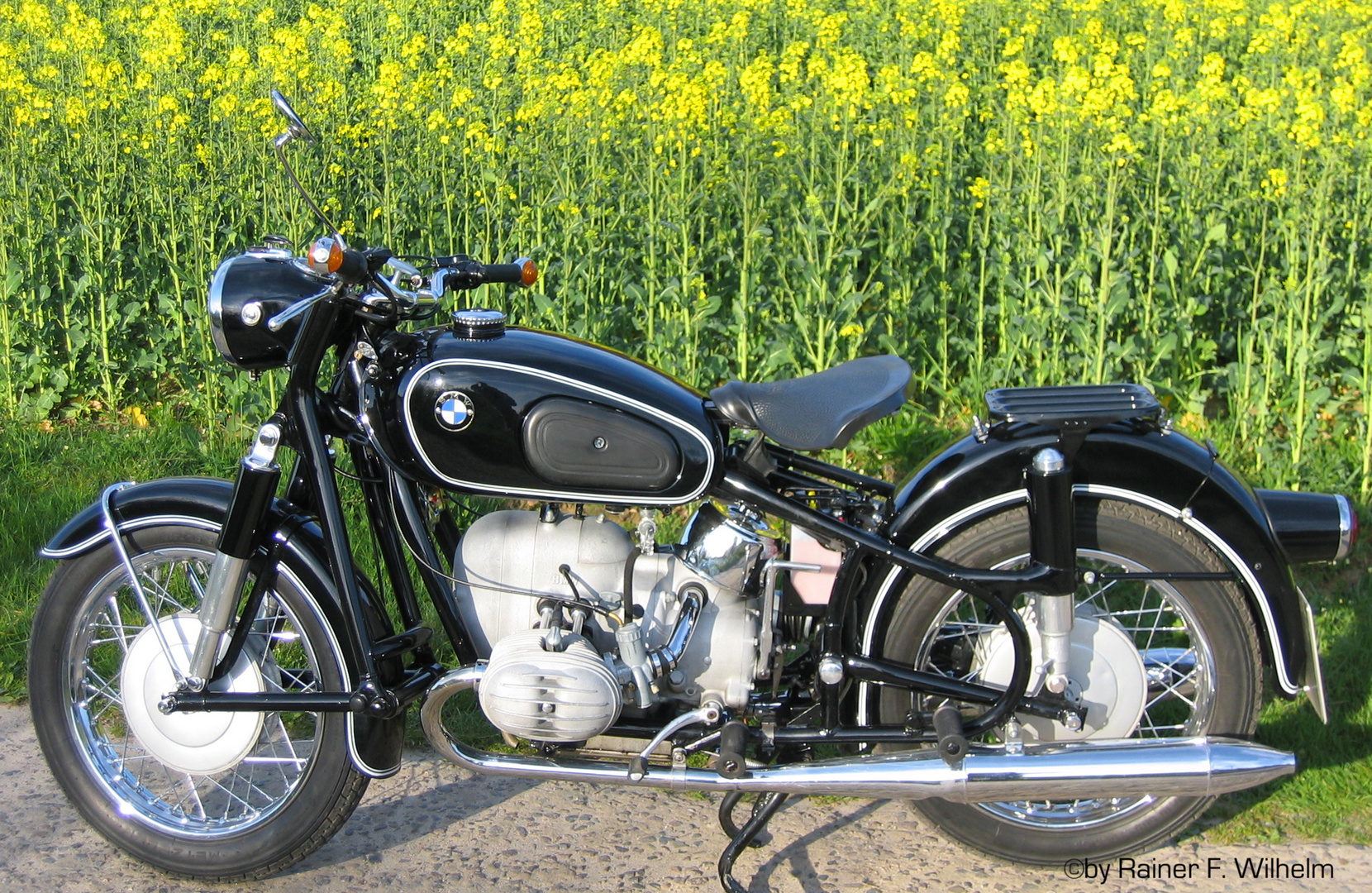 Raps mal anders - BMW R 50/2