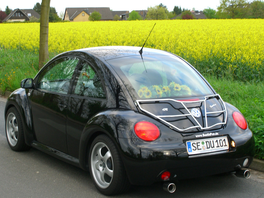 Raps mich ich bin der Frühling.....