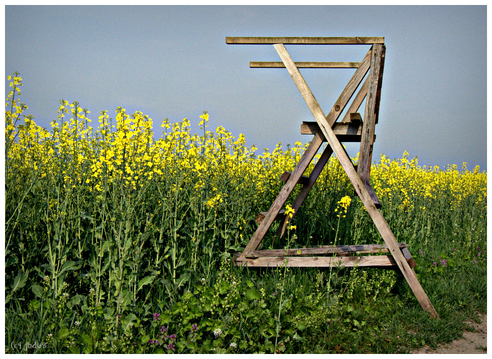 Raps mit Ausblick