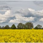 Raps mit dramatischen Wolken