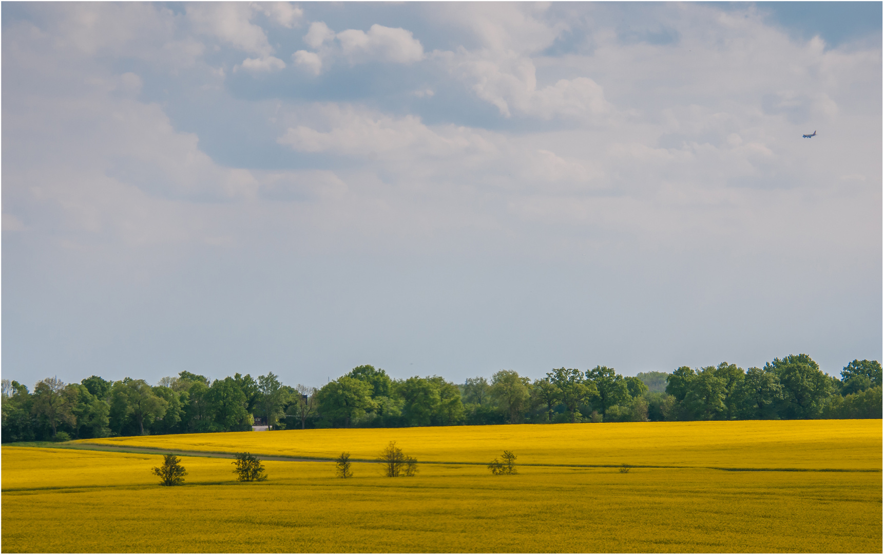 Raps mit Flieger