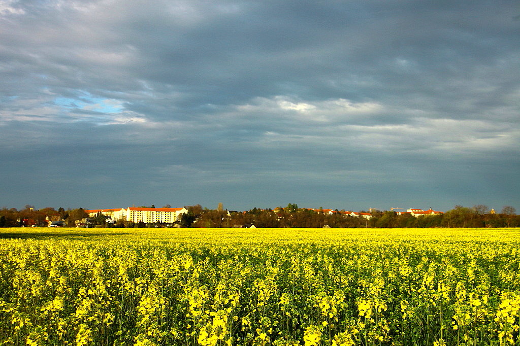 Raps mit Glauchau