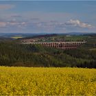 Raps mit Göltzschtalbrücke