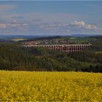 Raps mit Göltzschtalbrücke