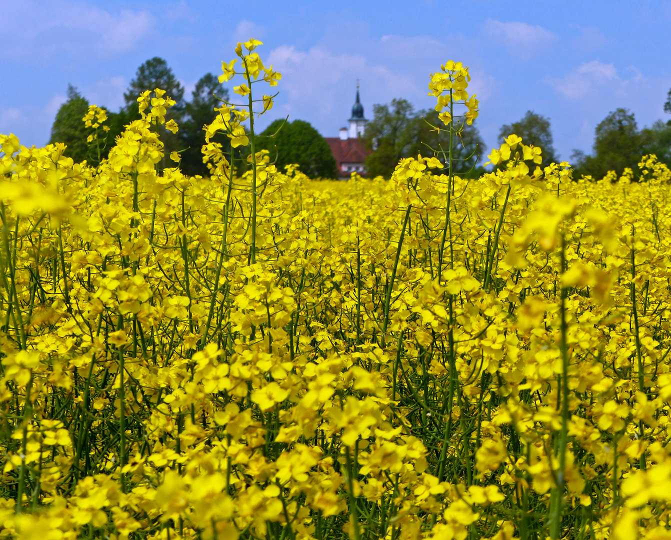 Raps mit Kirche