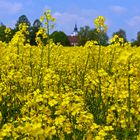 Raps mit Kirche