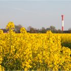 Raps mit Leuchtturm