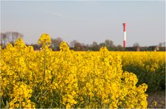 Raps mit Leuchtturm