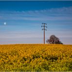 Raps mit Mond