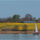 Raps mit Segelboot