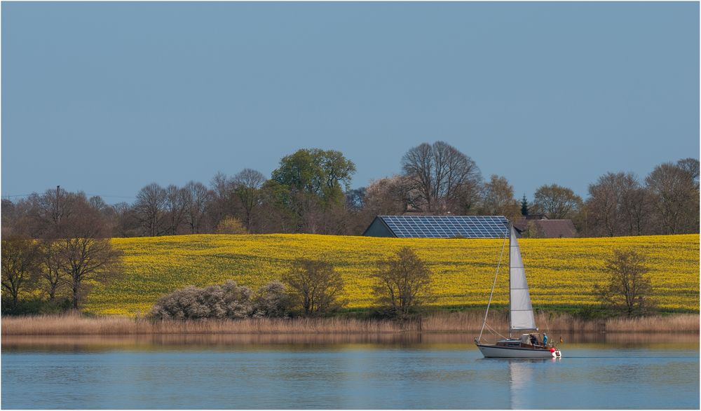 Raps mit Segelboot