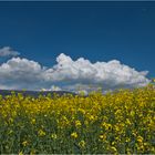 Raps mit Wolken