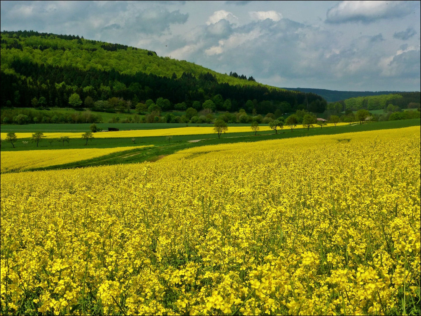 Raps ohne Ende