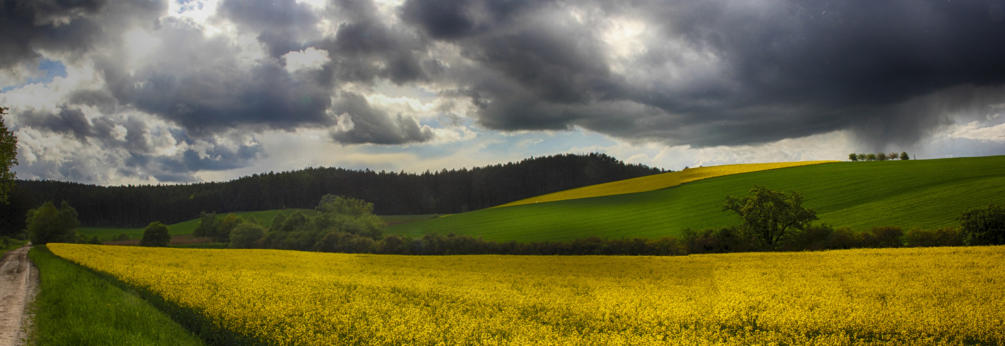 Raps - Pano