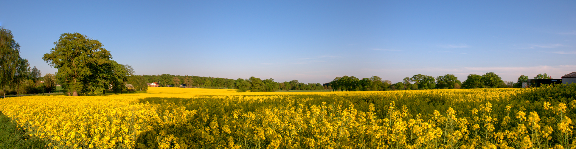 Raps-Pano-Quickborn