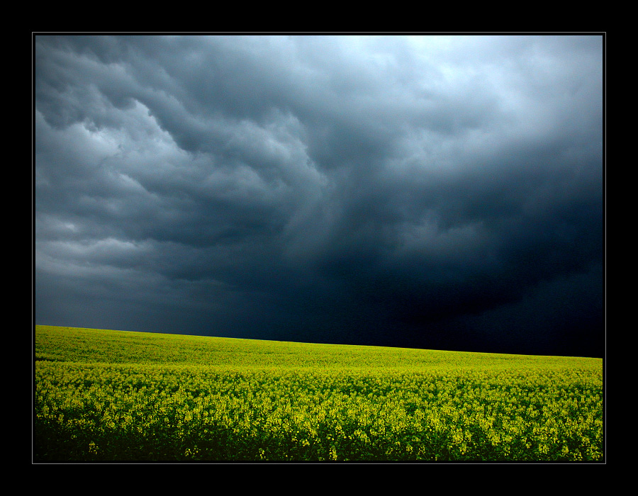 Raps - Rain - Clouds - Sun