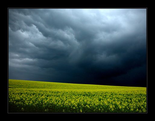 Raps - Rain - Clouds - Sun