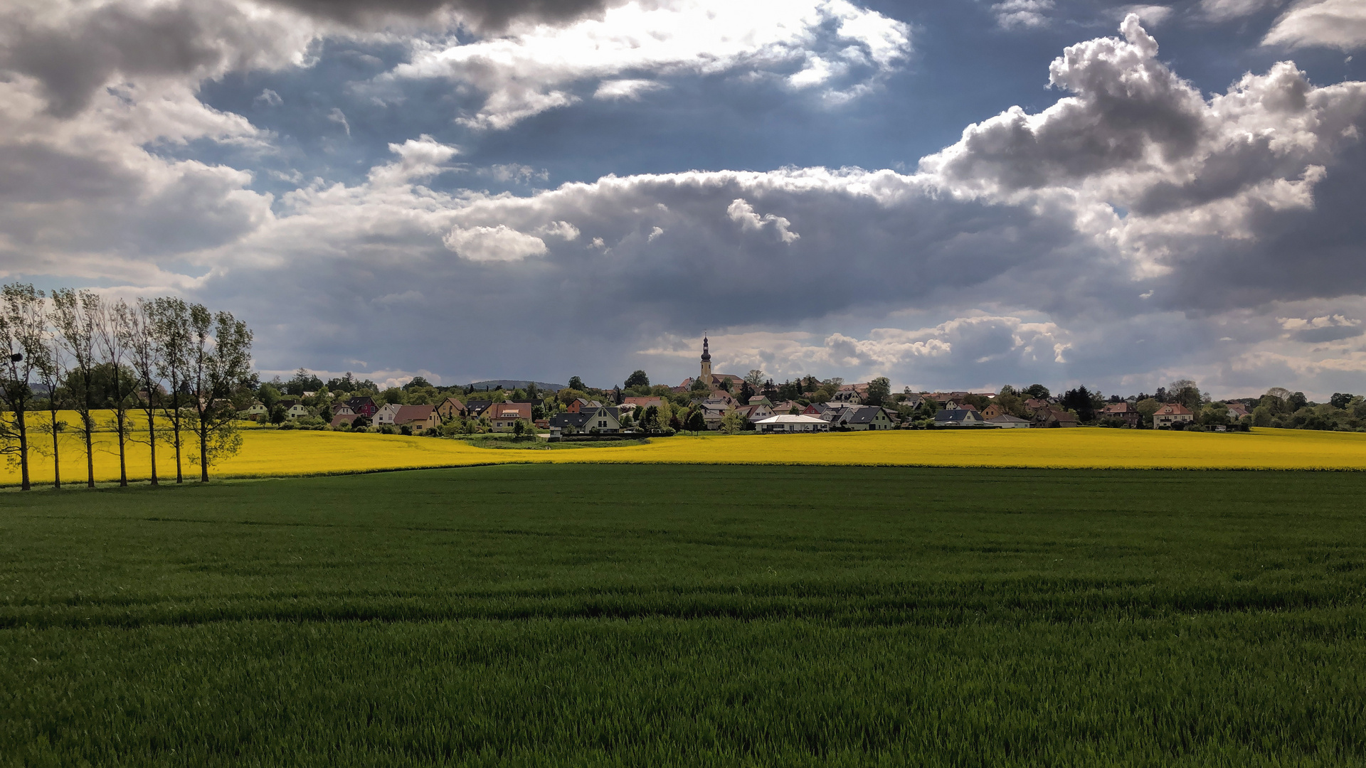 Raps sind auch Blümchen oder ?